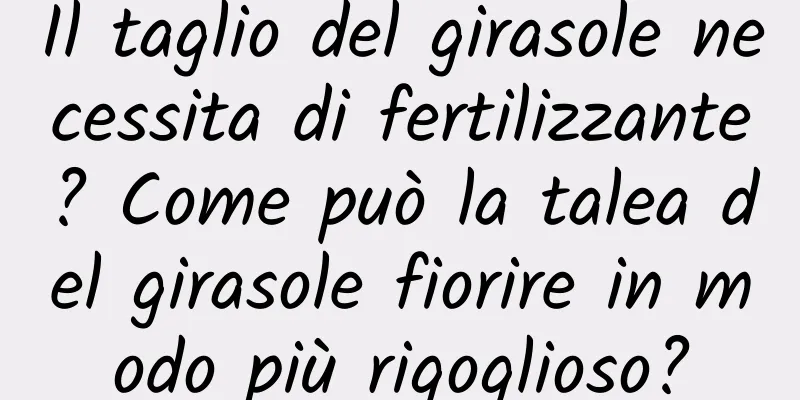 Il taglio del girasole necessita di fertilizzante? Come può la talea del girasole fiorire in modo più rigoglioso?
