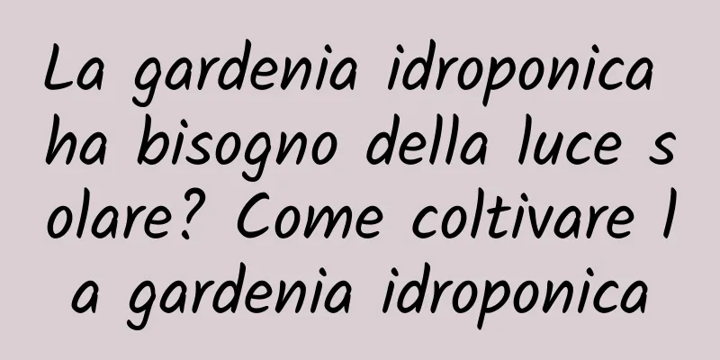La gardenia idroponica ha bisogno della luce solare? Come coltivare la gardenia idroponica