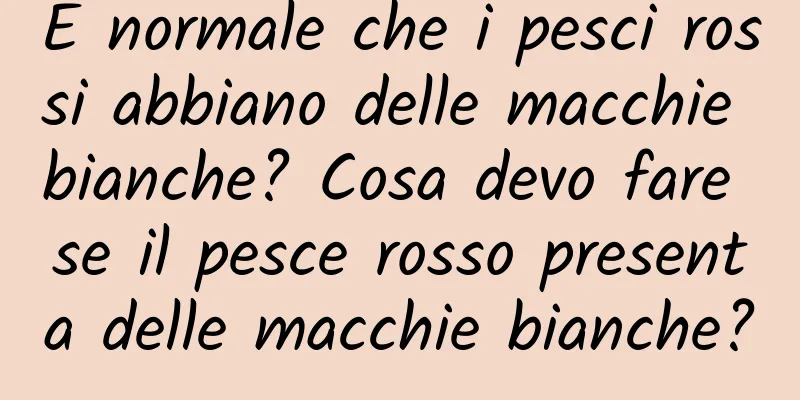È normale che i pesci rossi abbiano delle macchie bianche? Cosa devo fare se il pesce rosso presenta delle macchie bianche?