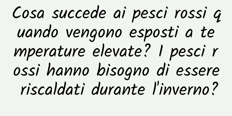 Cosa succede ai pesci rossi quando vengono esposti a temperature elevate? I pesci rossi hanno bisogno di essere riscaldati durante l'inverno?