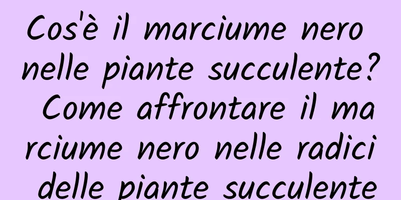 Cos'è il marciume nero nelle piante succulente? Come affrontare il marciume nero nelle radici delle piante succulente
