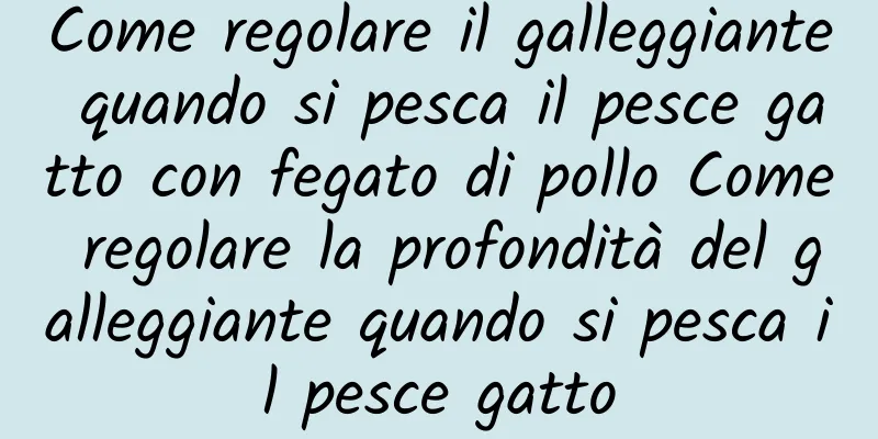 Come regolare il galleggiante quando si pesca il pesce gatto con fegato di pollo Come regolare la profondità del galleggiante quando si pesca il pesce gatto