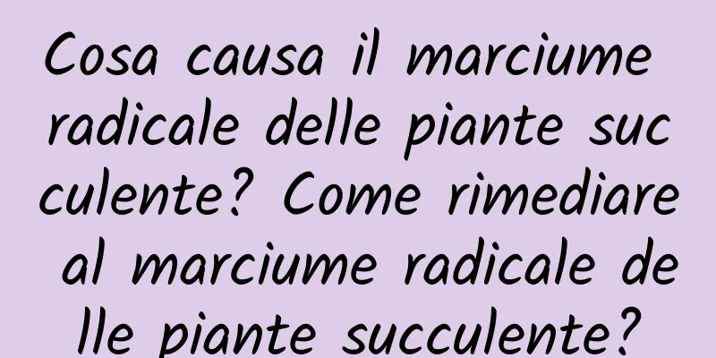 Cosa causa il marciume radicale delle piante succulente? Come rimediare al marciume radicale delle piante succulente?
