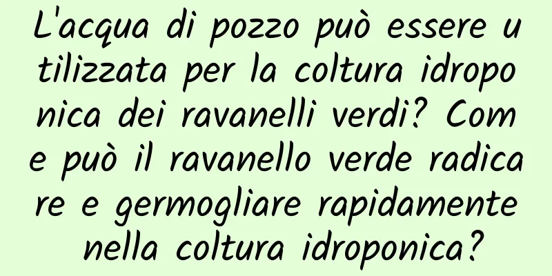 L'acqua di pozzo può essere utilizzata per la coltura idroponica dei ravanelli verdi? Come può il ravanello verde radicare e germogliare rapidamente nella coltura idroponica?