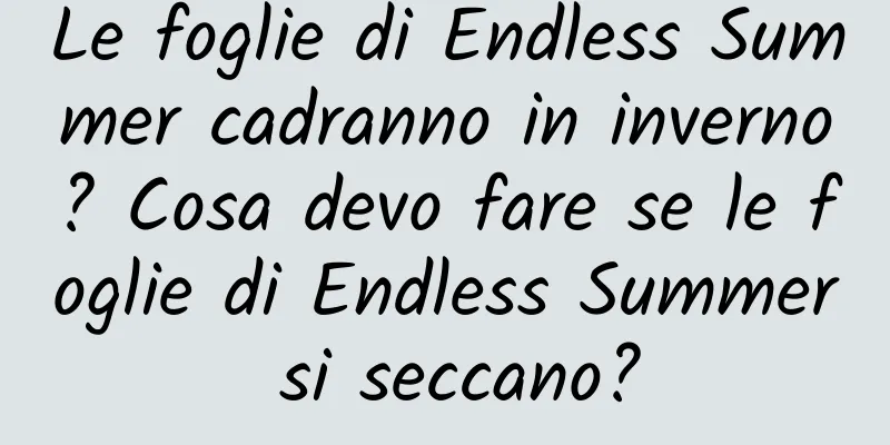 Le foglie di Endless Summer cadranno in inverno? Cosa devo fare se le foglie di Endless Summer si seccano?