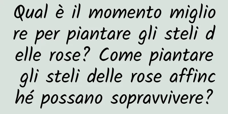Qual è il momento migliore per piantare gli steli delle rose? Come piantare gli steli delle rose affinché possano sopravvivere?