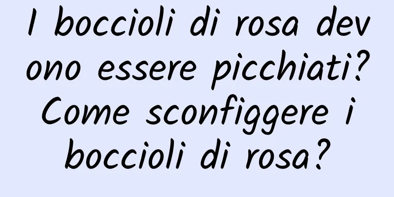 I boccioli di rosa devono essere picchiati? Come sconfiggere i boccioli di rosa?