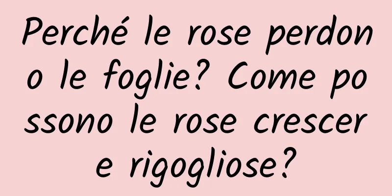 Perché le rose perdono le foglie? Come possono le rose crescere rigogliose?