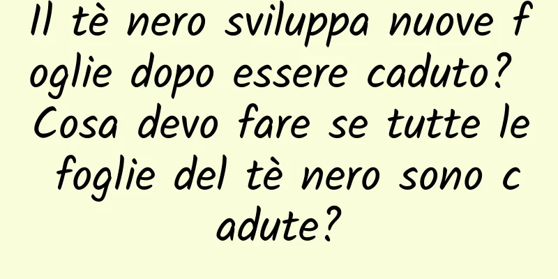 Il tè nero sviluppa nuove foglie dopo essere caduto? Cosa devo fare se tutte le foglie del tè nero sono cadute?