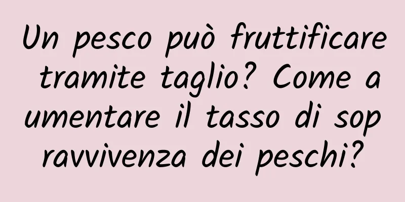 Un pesco può fruttificare tramite taglio? Come aumentare il tasso di sopravvivenza dei peschi?