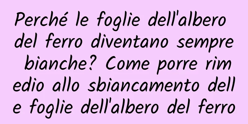 Perché le foglie dell'albero del ferro diventano sempre bianche? Come porre rimedio allo sbiancamento delle foglie dell'albero del ferro