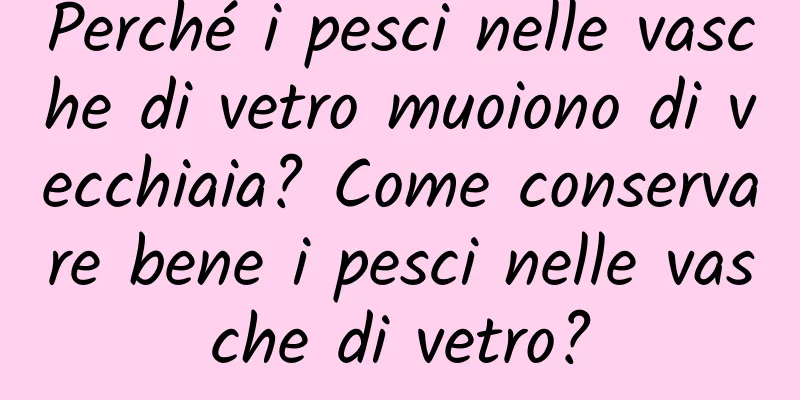 Perché i pesci nelle vasche di vetro muoiono di vecchiaia? Come conservare bene i pesci nelle vasche di vetro?