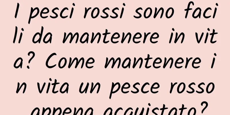 I pesci rossi sono facili da mantenere in vita? Come mantenere in vita un pesce rosso appena acquistato?
