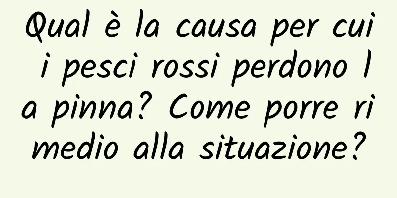 Qual è la causa per cui i pesci rossi perdono la pinna? Come porre rimedio alla situazione?