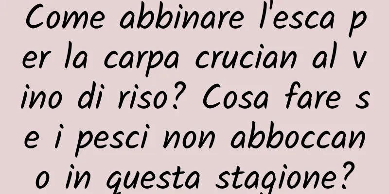 Come abbinare l'esca per la carpa crucian al vino di riso? Cosa fare se i pesci non abboccano in questa stagione?