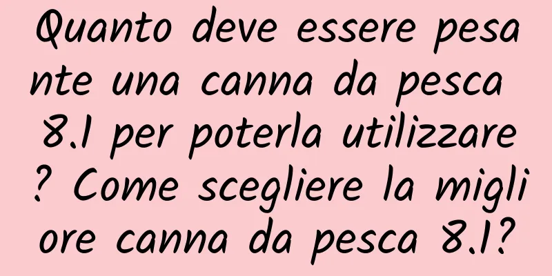 Quanto deve essere pesante una canna da pesca 8.1 per poterla utilizzare? Come scegliere la migliore canna da pesca 8.1?