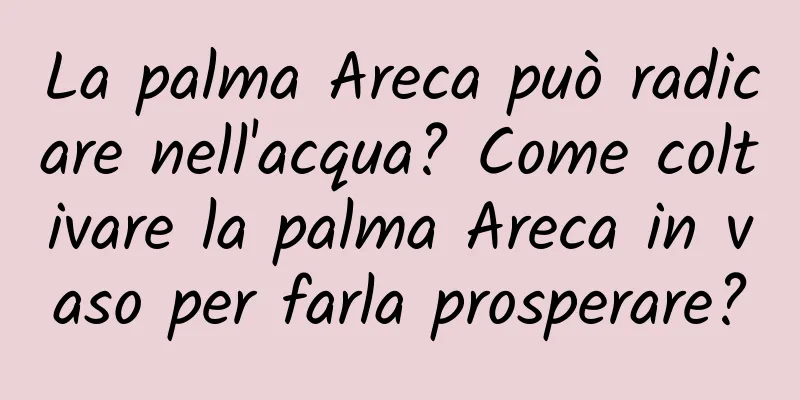 La palma Areca può radicare nell'acqua? Come coltivare la palma Areca in vaso per farla prosperare?