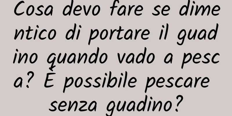 Cosa devo fare se dimentico di portare il guadino quando vado a pesca? È possibile pescare senza guadino?