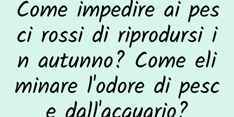 Come impedire ai pesci rossi di riprodursi in autunno? Come eliminare l'odore di pesce dall'acquario?