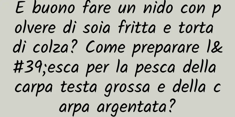 È buono fare un nido con polvere di soia fritta e torta di colza? Come preparare l'esca per la pesca della carpa testa grossa e della carpa argentata?