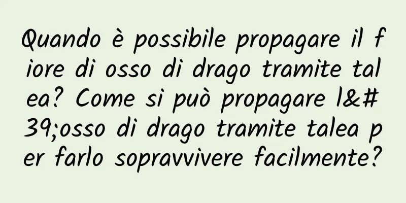 Quando è possibile propagare il fiore di osso di drago tramite talea? Come si può propagare l'osso di drago tramite talea per farlo sopravvivere facilmente?