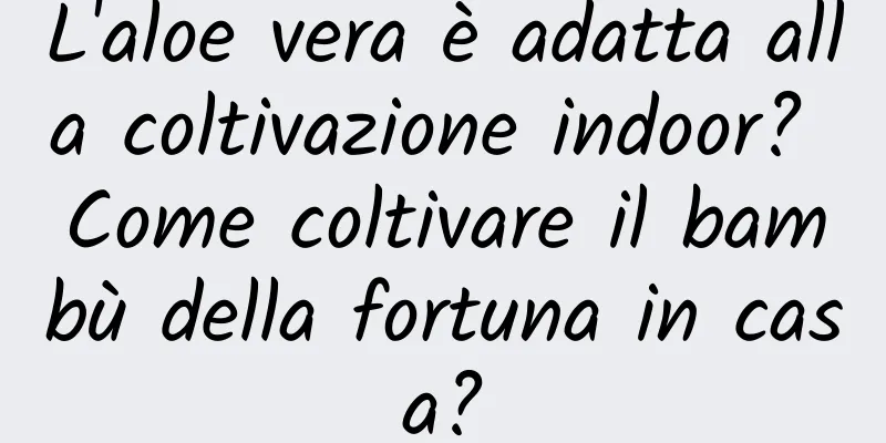 L'aloe vera è adatta alla coltivazione indoor? Come coltivare il bambù della fortuna in casa?