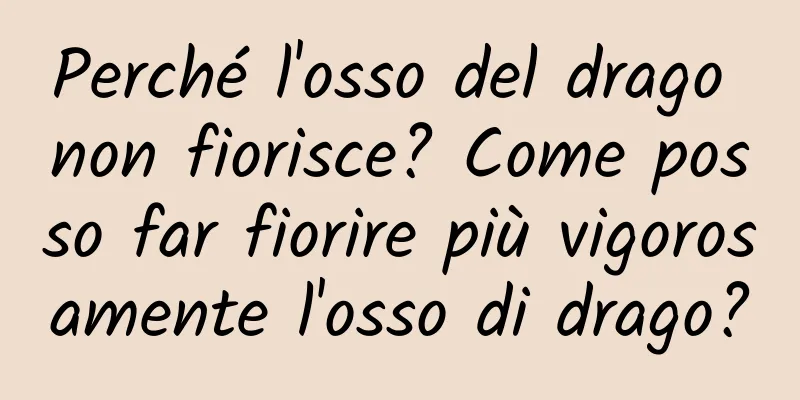 Perché l'osso del drago non fiorisce? Come posso far fiorire più vigorosamente l'osso di drago?