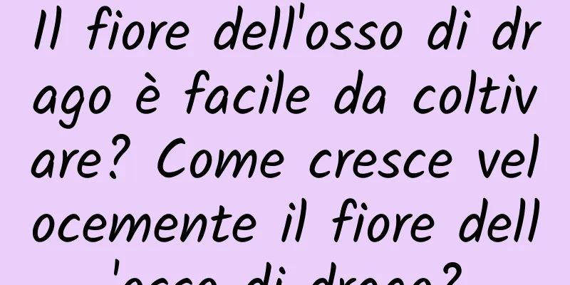Il fiore dell'osso di drago è facile da coltivare? Come cresce velocemente il fiore dell'osso di drago?