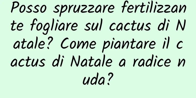 Posso spruzzare fertilizzante fogliare sul cactus di Natale? Come piantare il cactus di Natale a radice nuda?