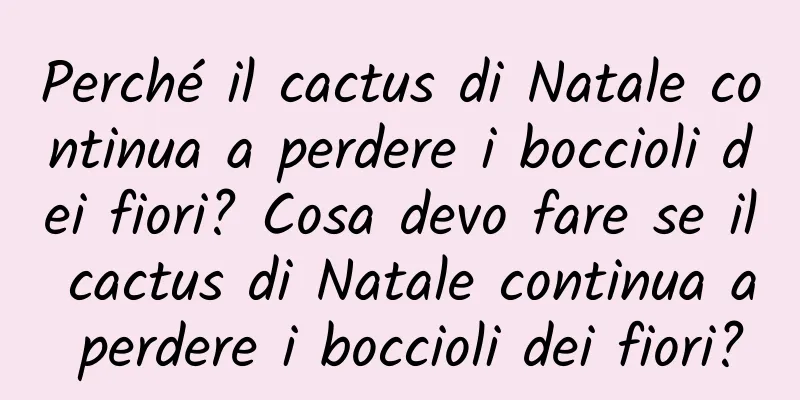 Perché il cactus di Natale continua a perdere i boccioli dei fiori? Cosa devo fare se il cactus di Natale continua a perdere i boccioli dei fiori?