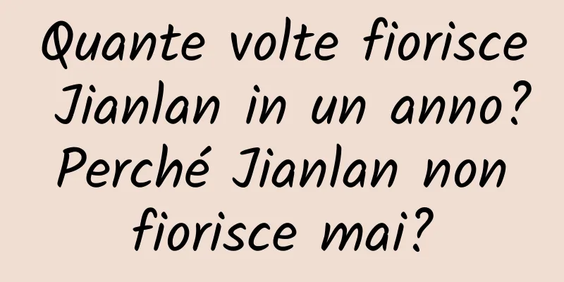 Quante volte fiorisce Jianlan in un anno? Perché Jianlan non fiorisce mai?