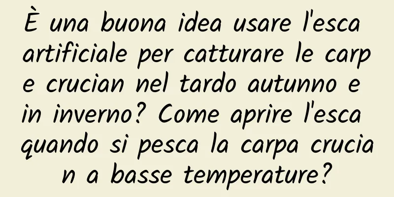 È una buona idea usare l'esca artificiale per catturare le carpe crucian nel tardo autunno e in inverno? Come aprire l'esca quando si pesca la carpa crucian a basse temperature?