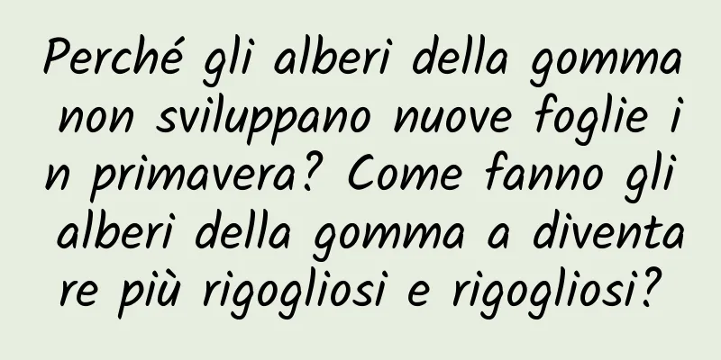 Perché gli alberi della gomma non sviluppano nuove foglie in primavera? Come fanno gli alberi della gomma a diventare più rigogliosi e rigogliosi?