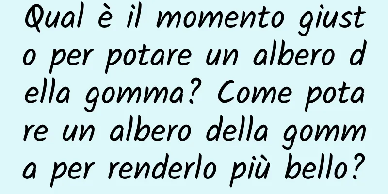Qual è il momento giusto per potare un albero della gomma? Come potare un albero della gomma per renderlo più bello?