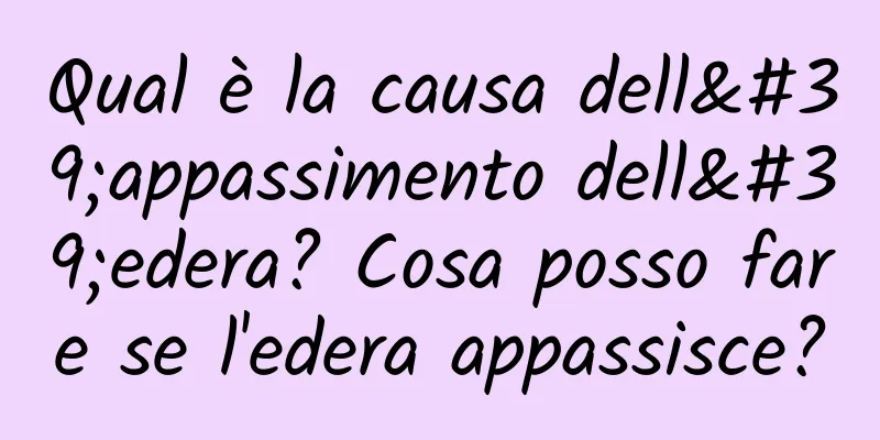 Qual è la causa dell'appassimento dell'edera? Cosa posso fare se l'edera appassisce?