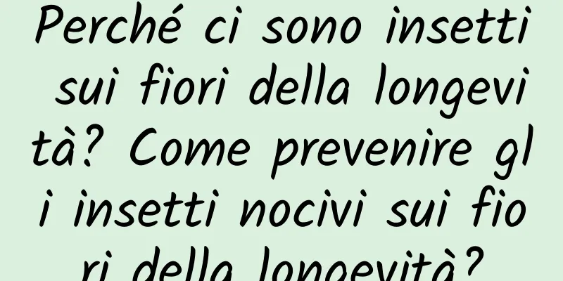 Perché ci sono insetti sui fiori della longevità? Come prevenire gli insetti nocivi sui fiori della longevità?