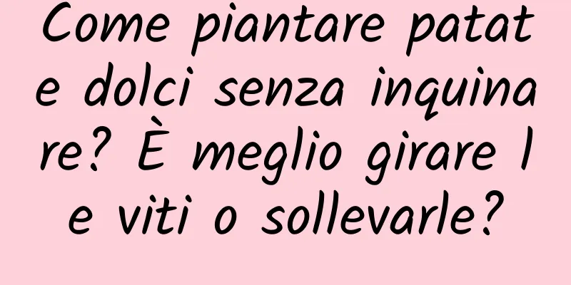 Come piantare patate dolci senza inquinare? È meglio girare le viti o sollevarle?