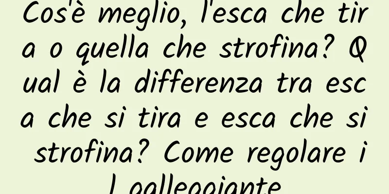 Cos'è meglio, l'esca che tira o quella che strofina? Qual è la differenza tra esca che si tira e esca che si strofina? Come regolare il galleggiante