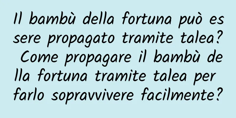 Il bambù della fortuna può essere propagato tramite talea? Come propagare il bambù della fortuna tramite talea per farlo sopravvivere facilmente?