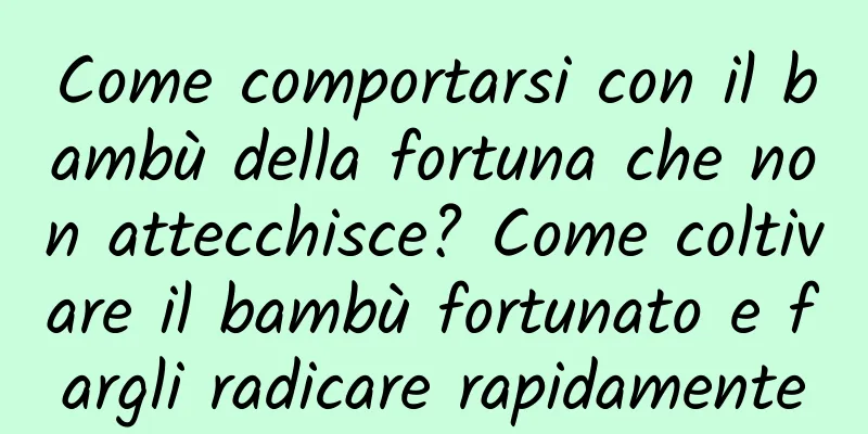 Come comportarsi con il bambù della fortuna che non attecchisce? Come coltivare il bambù fortunato e fargli radicare rapidamente