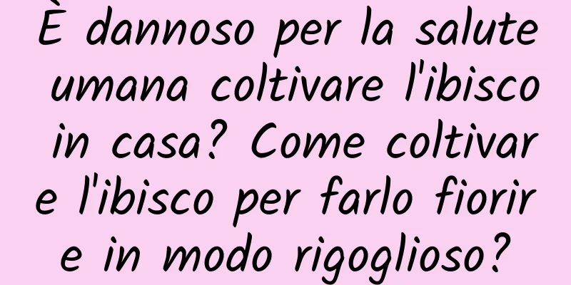 È dannoso per la salute umana coltivare l'ibisco in casa? Come coltivare l'ibisco per farlo fiorire in modo rigoglioso?