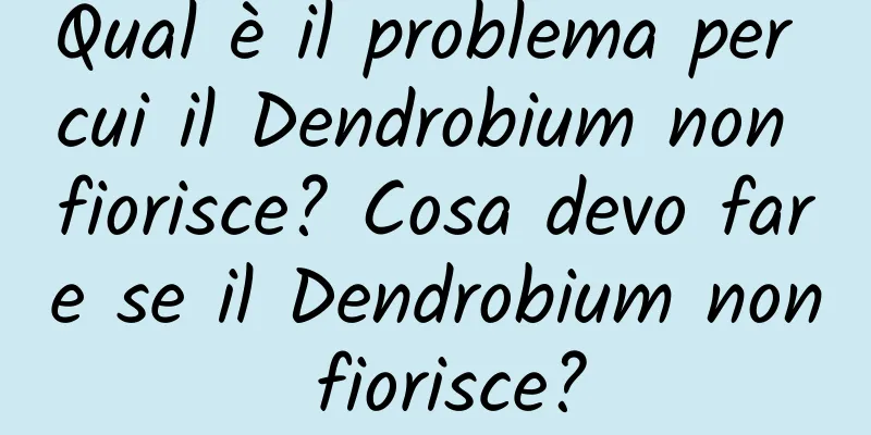 Qual è il problema per cui il Dendrobium non fiorisce? Cosa devo fare se il Dendrobium non fiorisce?