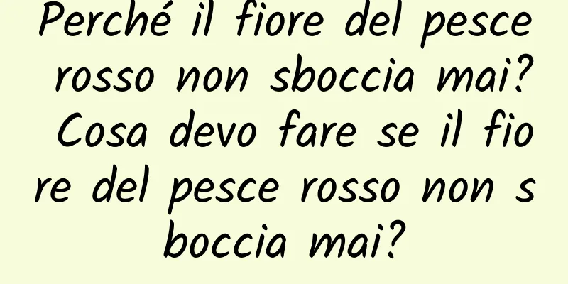 Perché il fiore del pesce rosso non sboccia mai? Cosa devo fare se il fiore del pesce rosso non sboccia mai?