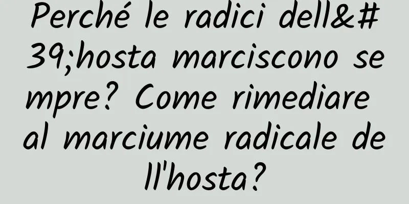 Perché le radici dell'hosta marciscono sempre? Come rimediare al marciume radicale dell'hosta?