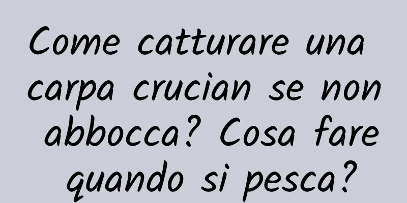 Come catturare una carpa crucian se non abbocca? Cosa fare quando si pesca?