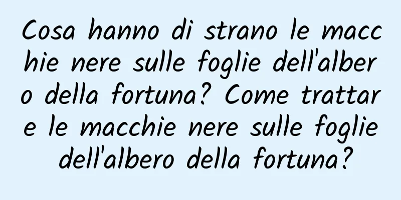 Cosa hanno di strano le macchie nere sulle foglie dell'albero della fortuna? Come trattare le macchie nere sulle foglie dell'albero della fortuna?