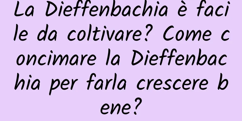 La Dieffenbachia è facile da coltivare? Come concimare la Dieffenbachia per farla crescere bene?