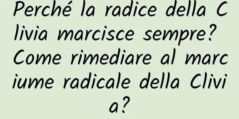 Perché la radice della Clivia marcisce sempre? Come rimediare al marciume radicale della Clivia?
