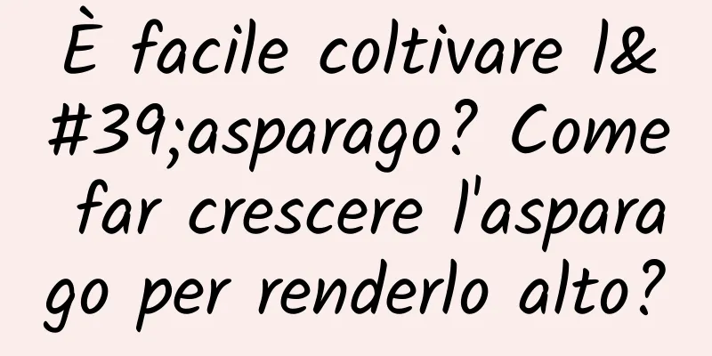 È facile coltivare l'asparago? Come far crescere l'asparago per renderlo alto?