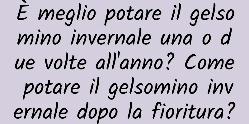 È meglio potare il gelsomino invernale una o due volte all'anno? Come potare il gelsomino invernale dopo la fioritura?